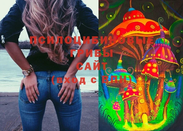 мдпв Армянск