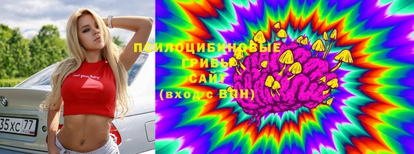 прущие крисы Аркадак