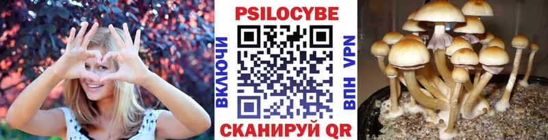 Галлюциногенные грибы прущие грибы  Валдай 